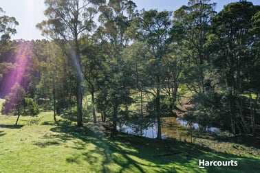 44 Beasleys Road Frankford TAS 7275 - Image 3