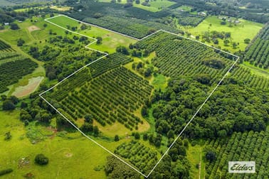 Lot 2, 789 Tregeagle Road Tregeagle NSW 2480 - Image 1