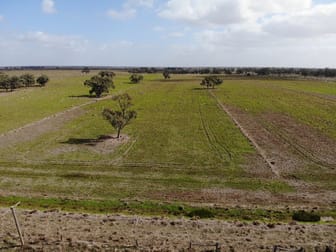 'Ughatumbia & Jinark Tooranie Road (via Swan Hill Mallan NSW 2734 - Image 3