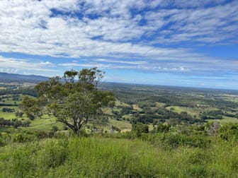 Marlee NSW 2429 - Image 1