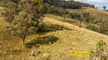 1887 Queens Pinch Road Mudgee NSW 2850 - Image 3