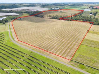 Click to view all images South Isis QLD 4660 - Image 2