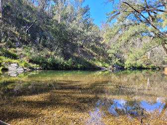 Lots 32,113 & 114 Off Neringla Road Neringla NSW 2622 - Image 2