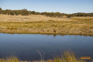 "The Meadows" Hilltop Road Hill Top NSW 2628 - Image 1