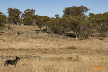 "The Meadows" Hilltop Road Hill Top NSW 2628 - Image 2