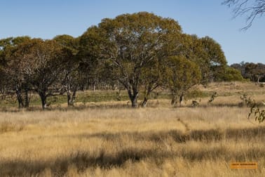 "The Meadows" Hilltop Road Hill Top NSW 2628 - Image 3