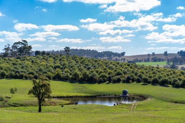 183 Burroughs Crossing Road Oberon NSW 2787 - Image 3