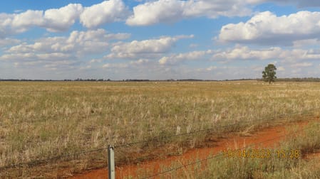 * Karinya Hermidale NSW 2831 - Image 1