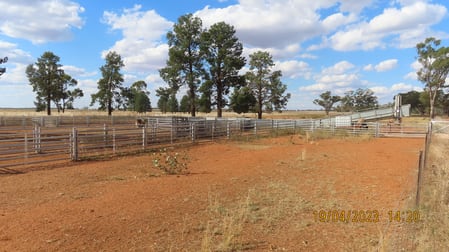 * Karinya Hermidale NSW 2831 - Image 2