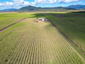 Lot 4 Marge Camerons Road Marian QLD 4753 - Image 2