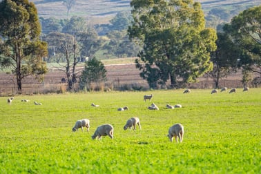 191 Troopers Road Canowindra NSW 2804 - Image 2