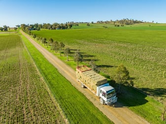 191 Troopers Road Canowindra NSW 2804 - Image 3