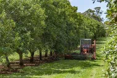 264 Williams Road Benarkin North QLD 4314 - Image 2