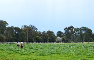 164 Toms Lane Wagga Wagga NSW 2650 - Image 3