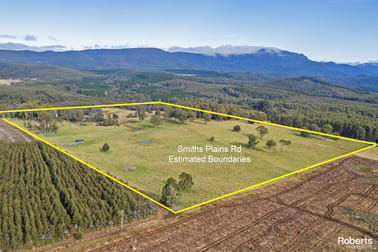 Lot 1 Smiths Plains Road South Nietta TAS 7315 - Image 2