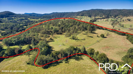 83 Horseshoe Creek Road Horseshoe Creek NSW 2474 - Image 3