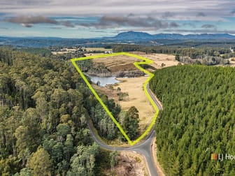 Lot 1 Gaunts/Castra Road Nietta TAS 7315 - Image 1