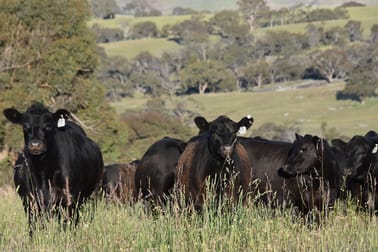 Lot 3/831 Ophir Road Bathurst NSW 2795 - Image 3