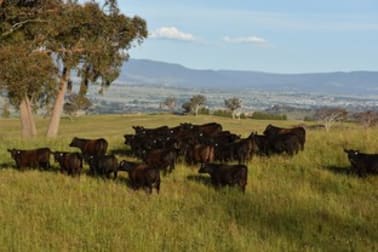 'Monteagle' Houses Lane Bathurst NSW 2795 - Image 1