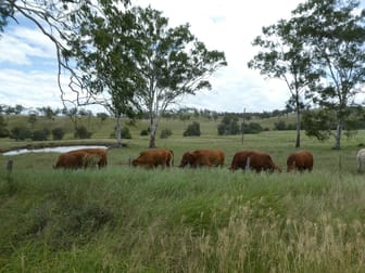 Gayndah QLD 4625 - Image 1