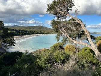 PID 6431530 Thunder & Lightning Road Cape Barren Island TAS 7257 - Image 1