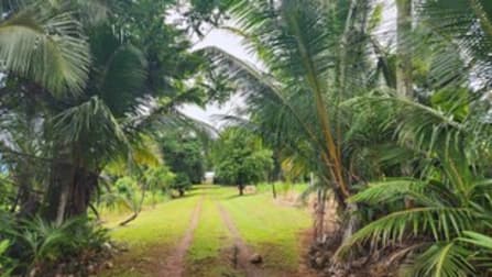 Click to view all images 114 Kinjun Road Dingo Pocket QLD 4854 - Image 1