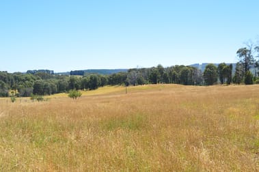 152 Willigobung South Spur Rd Tumbarumba NSW 2653 - Image 3