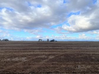 Click to view all images Switchback Road Minyip VIC 3392 - Image 2