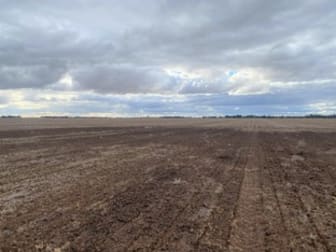 Click to view all images Switchback Road Minyip VIC 3392 - Image 3