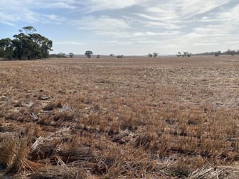 Dimboola-Rainbow Road Jeparit VIC 3423 - Image 2