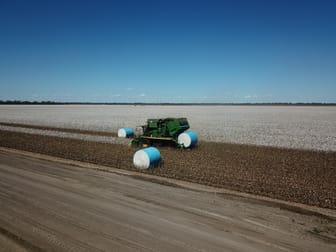 2312 South Toobeah Road Goondiwindi QLD 4390 - Image 2