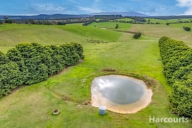 Click to view all images 295 Purvis Road Tanjil South VIC 3825 - Image 3