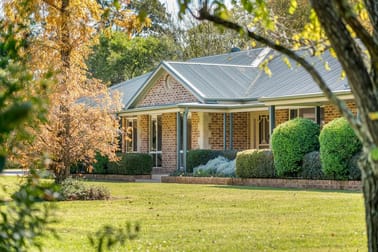 842 Allyn River Road Allynbrook NSW 2311 - Image 3