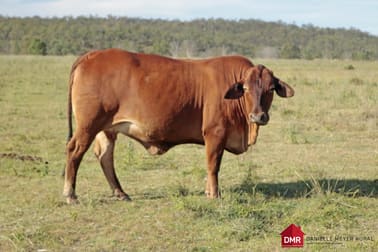 Gayndah QLD 4625 - Image 3