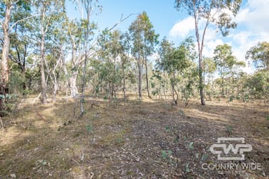 61 Catarrh Creek Road Torrington NSW 2371 - Image 2
