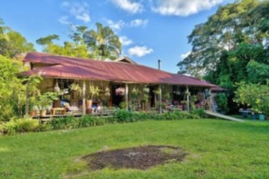 703 Tuntable Creek Road Tuntable Creek NSW 2480 - Image 1