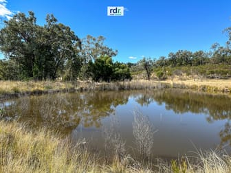 384 Yammacoona Estate Rd, DELUNGRA Inverell NSW 2360 - Image 3