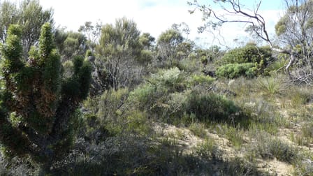 3/ Marnigarup South Road Gairdner WA 6337 - Image 3