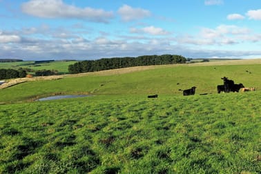 180 Eastern Creek Road Port Campbell VIC 3269 - Image 3