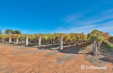 431 Woomera Avenue Red Cliffs VIC 3496 - Image 3