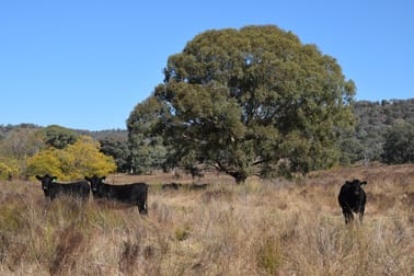 'The Spring' Mountain Valley Road Wellington NSW 2820 - Image 1