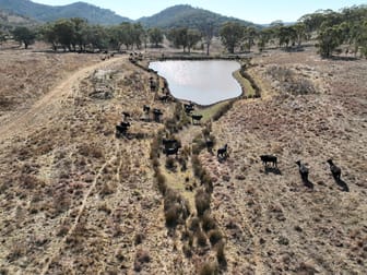 'The Spring' Mountain Valley Road Wellington NSW 2820 - Image 2