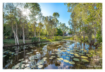 328 Sleipner Road Mount Chalmers QLD 4702 - Image 2