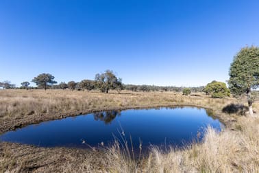 Grove Road Tingha NSW 2369 - Image 1