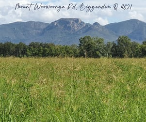 Lot 1 Mount Woowoonga Road Biggenden QLD 4621 - Image 1