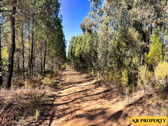 1790 Newell Highway Coonabarabran NSW 2357 - Image 1
