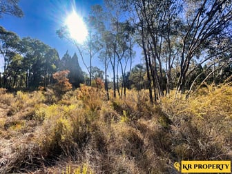 1790 Newell Highway Coonabarabran NSW 2357 - Image 2
