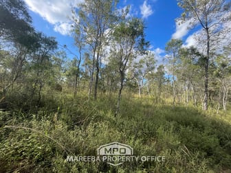 Lot 118 Leadingham Creek Road Dimbulah QLD 4872 - Image 3