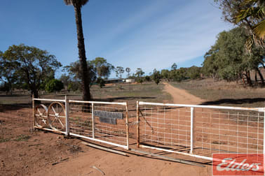 1277 Frosty Gully Road East Bowes WA 6535 - Image 1