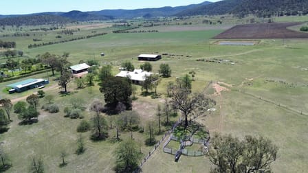 6 Yarraman Road Muswellbrook NSW 2333 - Image 3